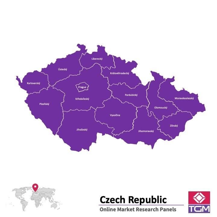PANELS EN LIGNE EN RÉPUBLIQUE TCHÈQUE |  Études de Marché en République tchèque