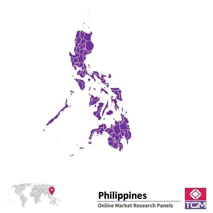 PANELS EN LIGNE AUX PHILIPPINES |  Études de Marché aux Philippines