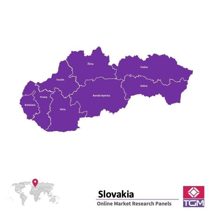 PANELS EN LIGNE EN SLOVAQUIE |  Études de Marché en Slovaquie
