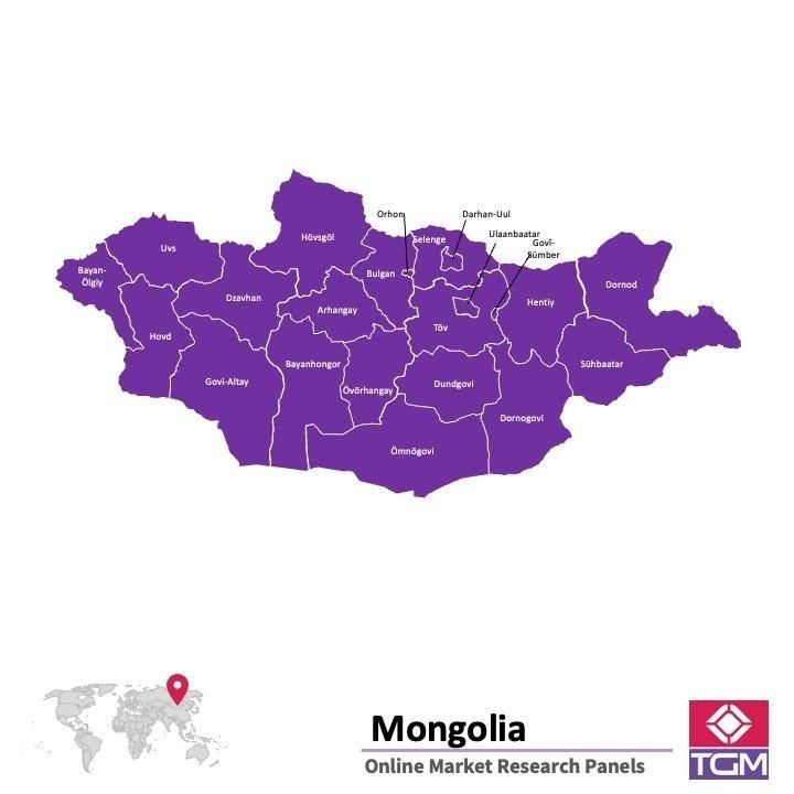 PANELS EN LIGNE EN MONGOLIE |  Études de Marché en Mongolie