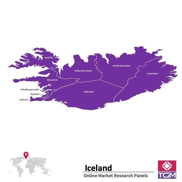 PANELS EN LIGNE EN ISLANDE |  Études de Marché en Islande