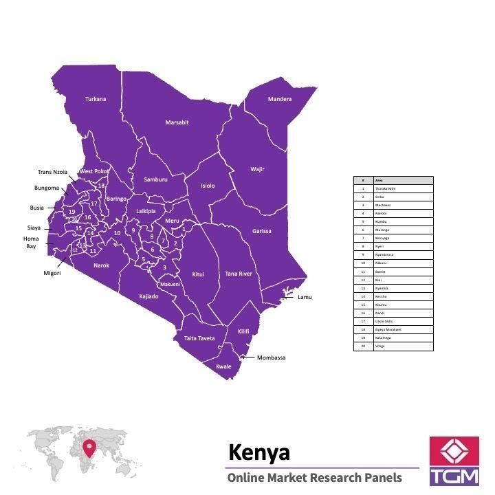 PANELS EN LIGNE AU KENYA |  Études de Marché au Kenya