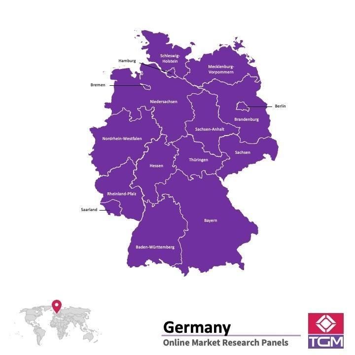 PANELS EN LIGNE EN ALLEMAGNE |  Études de Marché en Allemagne
