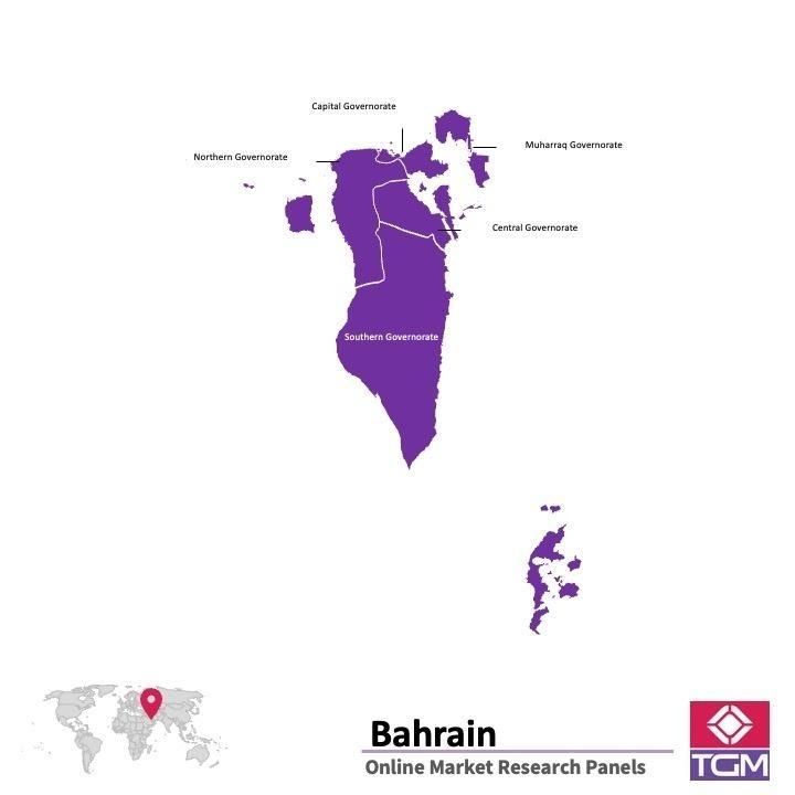 PANELS EN LIGNE À BAHREÏN |  Études de Marché à Bahreïn