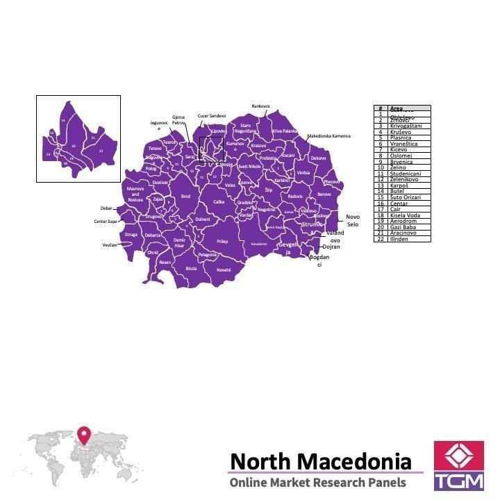 PANELS EN LIGNE EN MACÉDOINE DU NORD |  Études de Marché en Macédoine du Nord