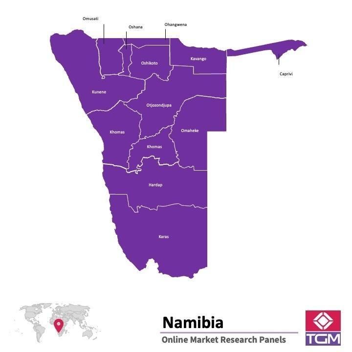 PANELS EN LIGNE EN NAMIBIE |  Études de Marché en Namibie