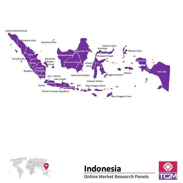 PANELS EN LIGNE EN INDONÉSIE |  Études de Marché en Indonésie