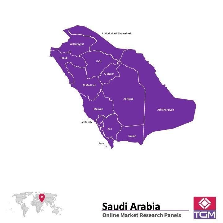 PANELS EN LIGNE EN ARABIE SAOUDITE (KSA) |  Études de Marché en Arabie Saoudite (KSA)