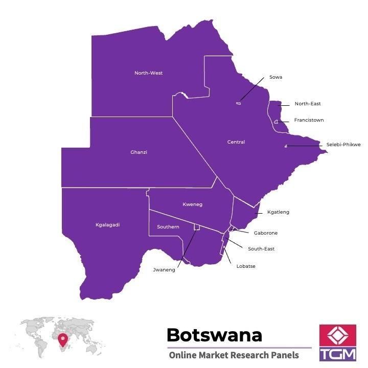 PANELS EN LIGNE AU BOTSWANA |  Études de Marché au Botswana