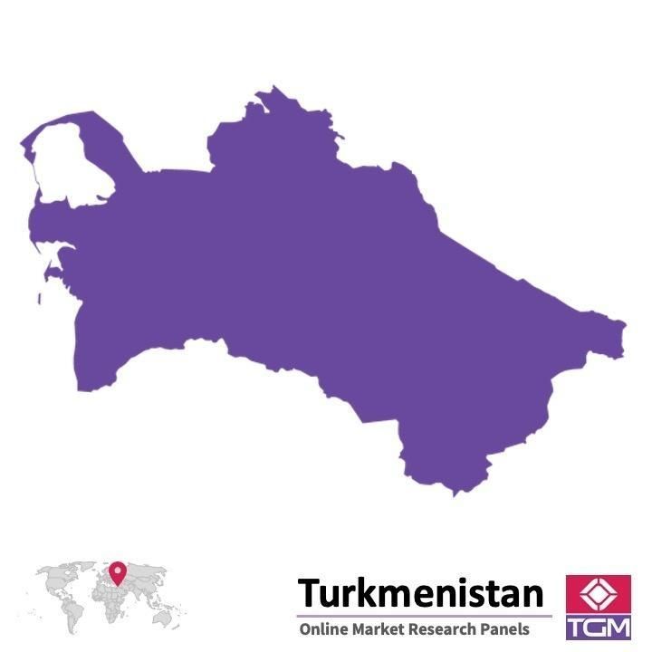 PANELS EN LIGNE AU TURKMÉNISTAN |  Études de Marché au Turkménistan