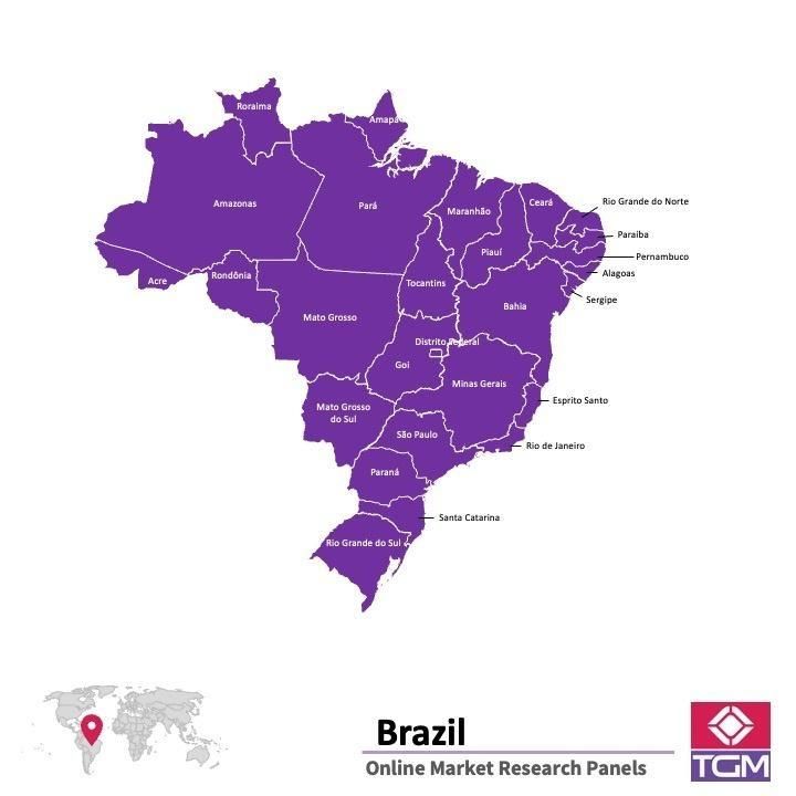 PANELS EN LIGNE AU BRÉSIL |  Études de Marché au Brésil