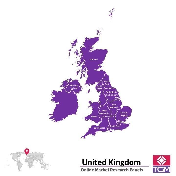 PANELS EN LIGNE AU ROYAUME-UNI (UK) |  Études de Marché au Royaume-Uni (UK)