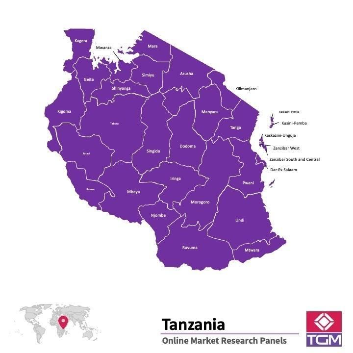 PANELS EN LIGNE EN TANZANIE |  Études de Marché en Tanzanie