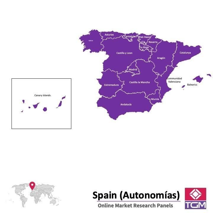 PANELS EN LIGNE EN ESPAGNE |  Études de Marché en Espagne