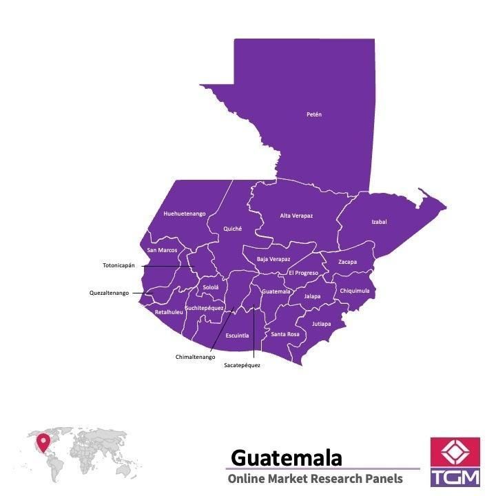 PANELS EN LIGNE AU GUATEMALA |  Études de Marché au Guatemala