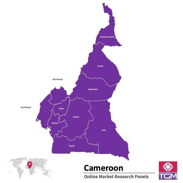 PANELS EN LIGNE AU CAMEROUN |  Études de Marché au Cameroun