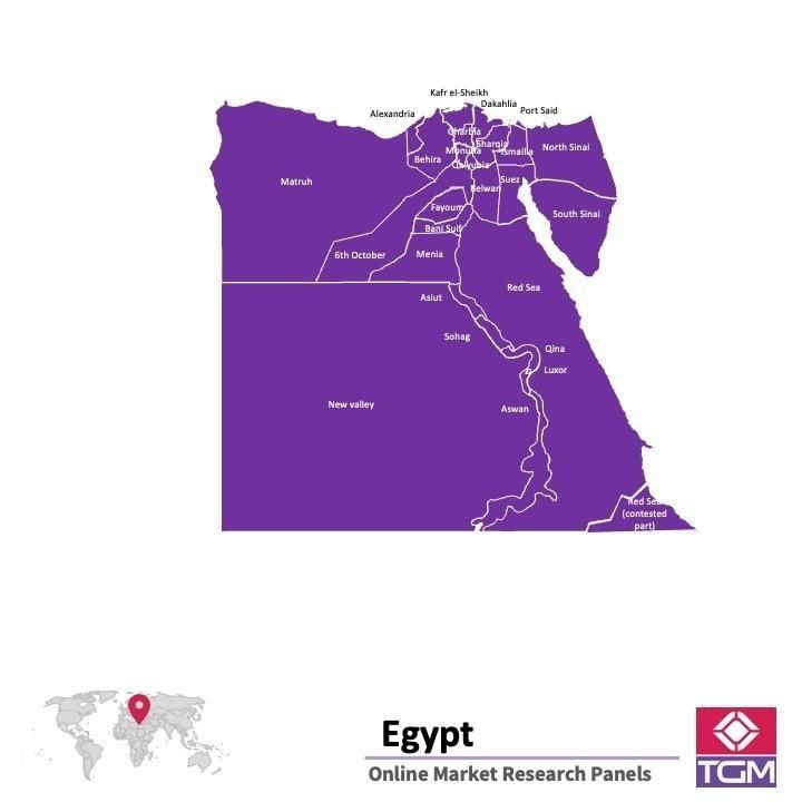 PANELS EN LIGNE EN EGYPTE |  Études de Marché en Egypte