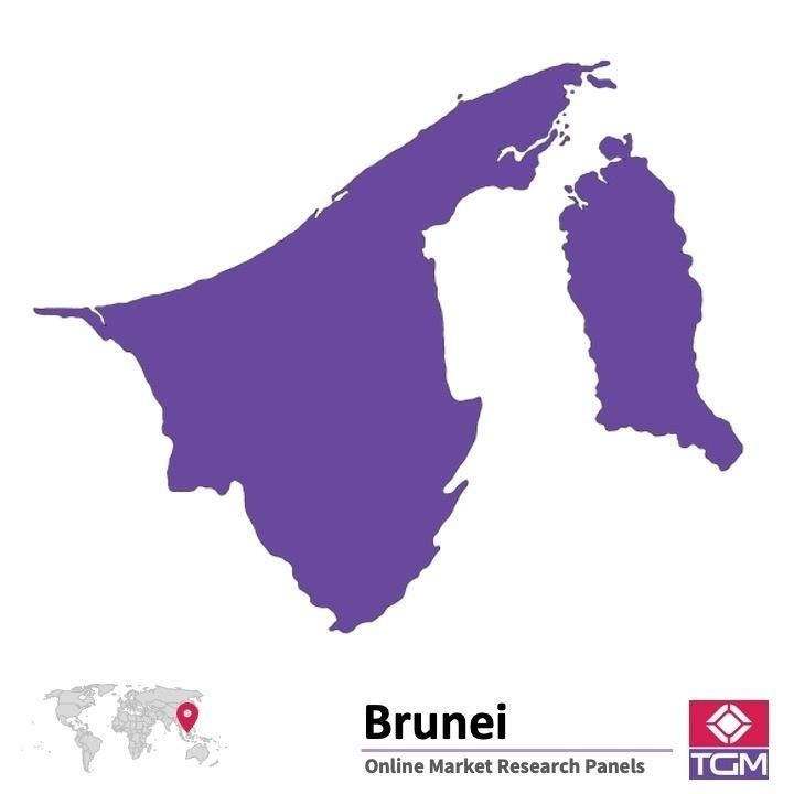 PANELS EN LIGNE À BRUNEI |  Études de Marché à Brunei