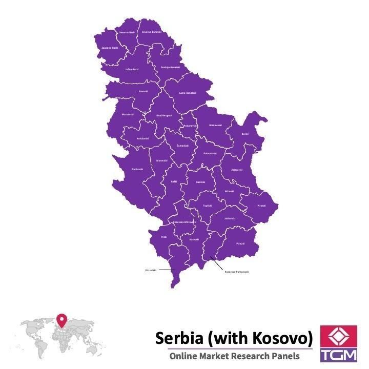 PANELS EN LIGNE EN SERBIE |  Études de Marché en Serbie
