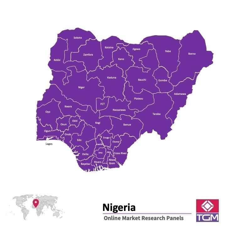 PANELS EN LIGNE AU NIGERIA |  Études de Marché au Nigeria