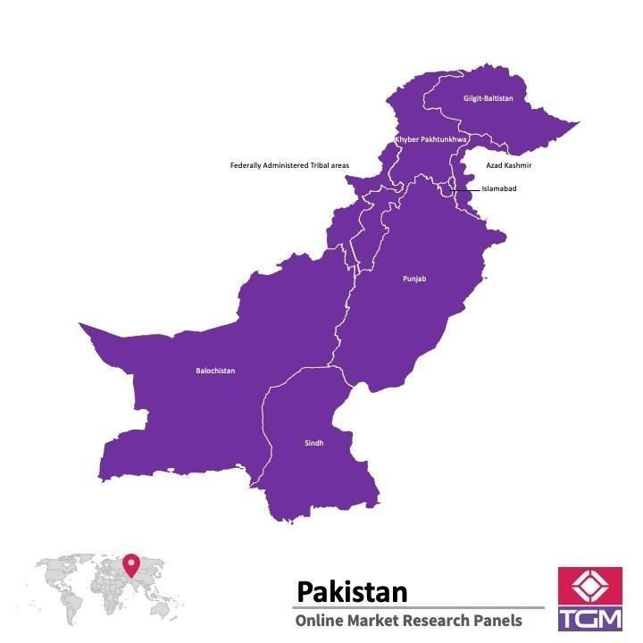 PANELS EN LIGNE AU PAKISTAN |  Études de Marché au Pakistan