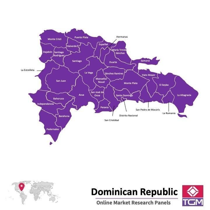 PANELS EN LIGNE EN RÉPUBLIQUE DOMINICAINE |  Études de Marché en République Dominicaine
