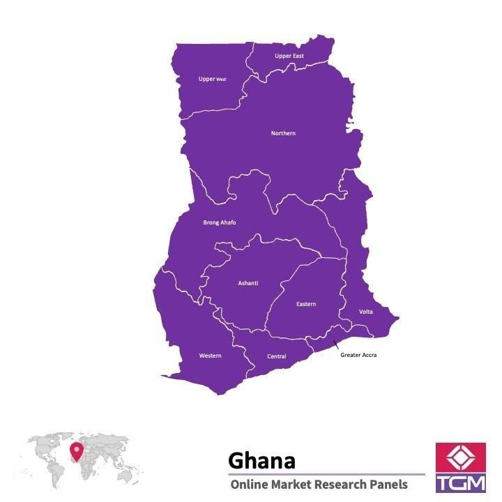 PANELS EN LIGNE AU GHANA |  Études de Marché au Ghana