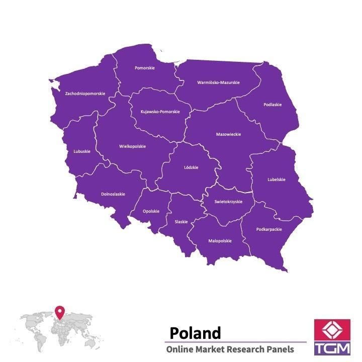 PANELS EN LIGNE EN POLOGNE |  Études de Marché en Pologne