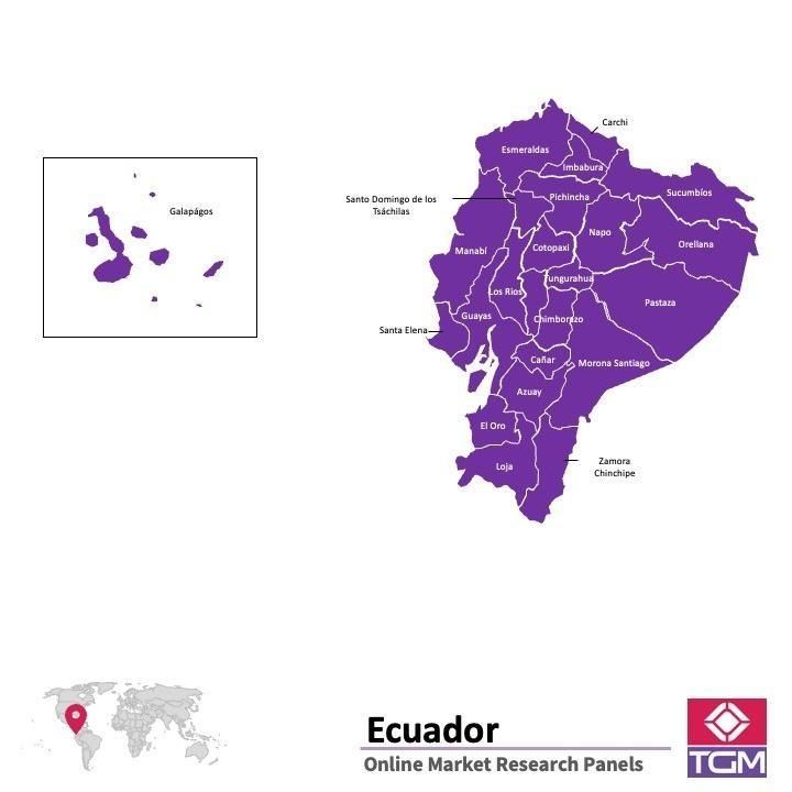 PANELS EN LIGNE EN EQUATEUR |  Études de Marché en Equateur