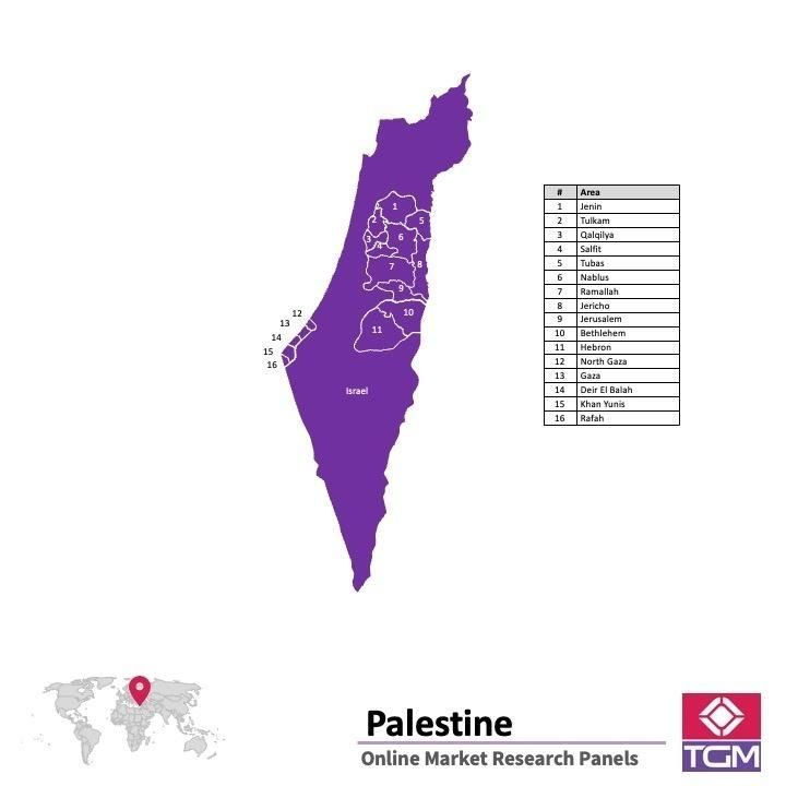 PANELS EN LIGNE EN PALESTINE |  Études de Marché en Palestine