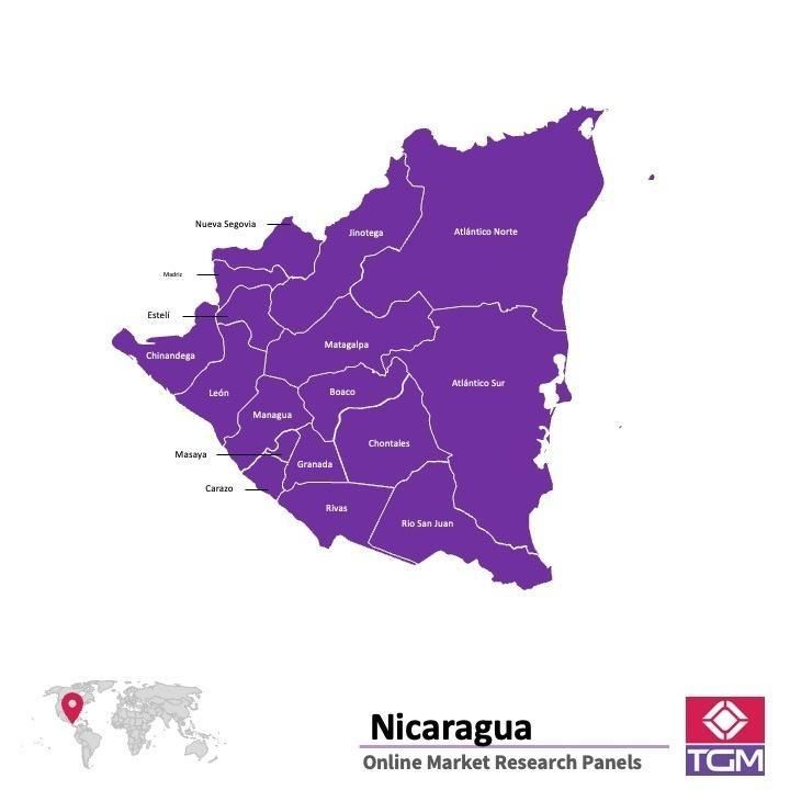 PANELS EN LIGNE AU NICARAGUA |  Études de Marché au Nicaragua