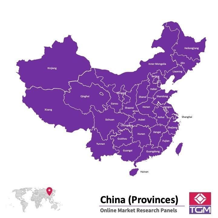 PANELS EN LIGNE EN CHINE |  Études de Marché en Chine