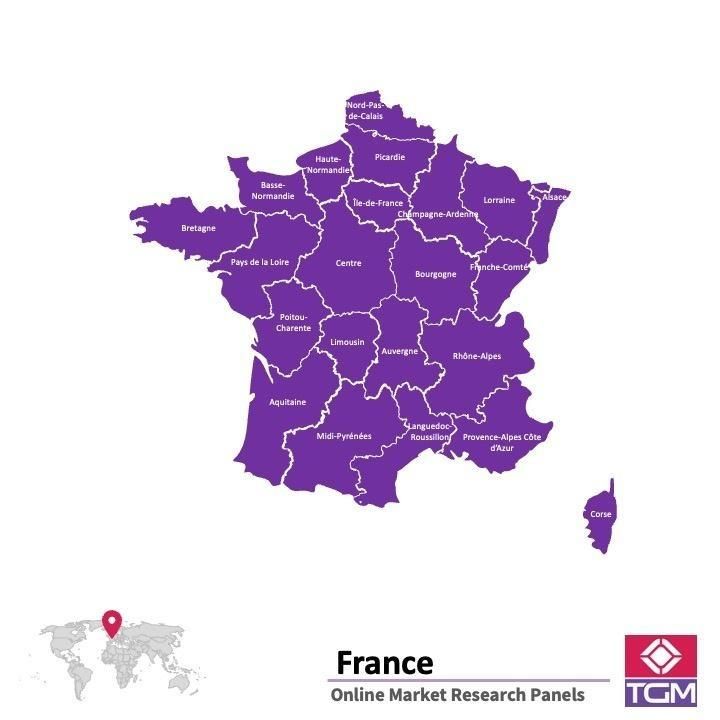 PANELS EN LIGNE EN FRANCE |  Études de Marché en France