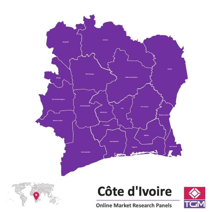 PANELS EN LIGNE EN CÔTE D'IVOIRE |  Études de Marché en Côte d'Ivoire