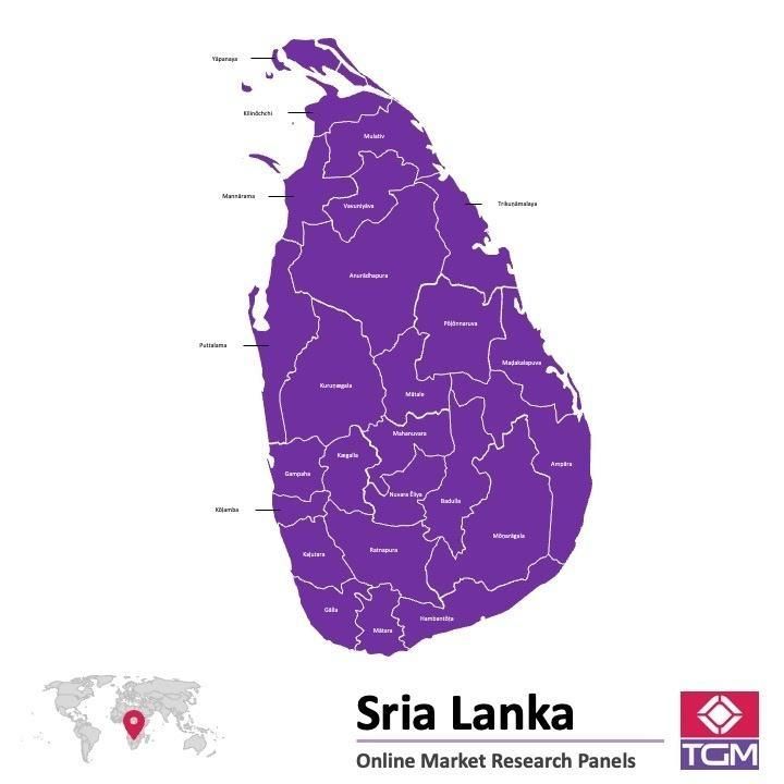 PANELS EN LIGNE AU SRI LANKA |  Études de Marché au Sri Lanka