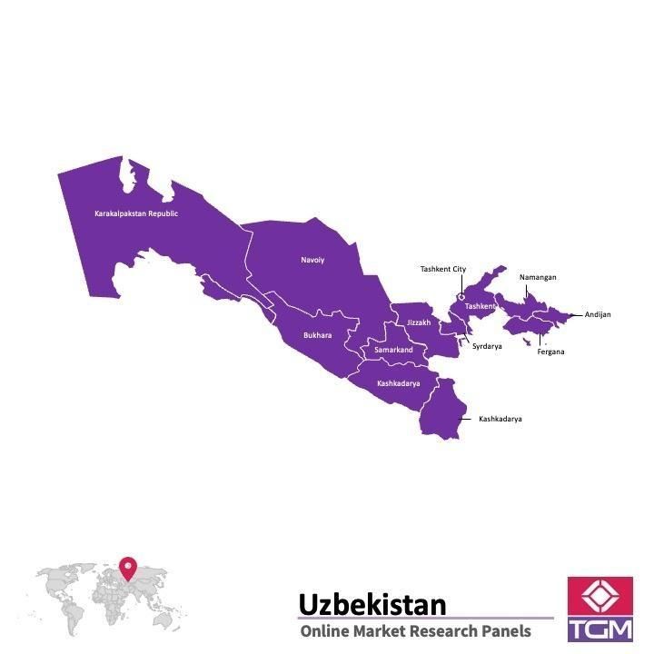 PANELS EN LIGNE EN OUZBÉKISTAN |  Études de Marché en Ouzbékistan