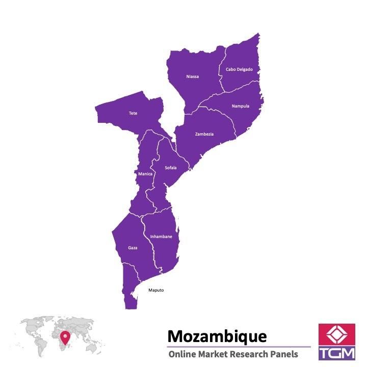 PANELS EN LIGNE AU MOZAMBIQUE |  Études de Marché au Mozambique